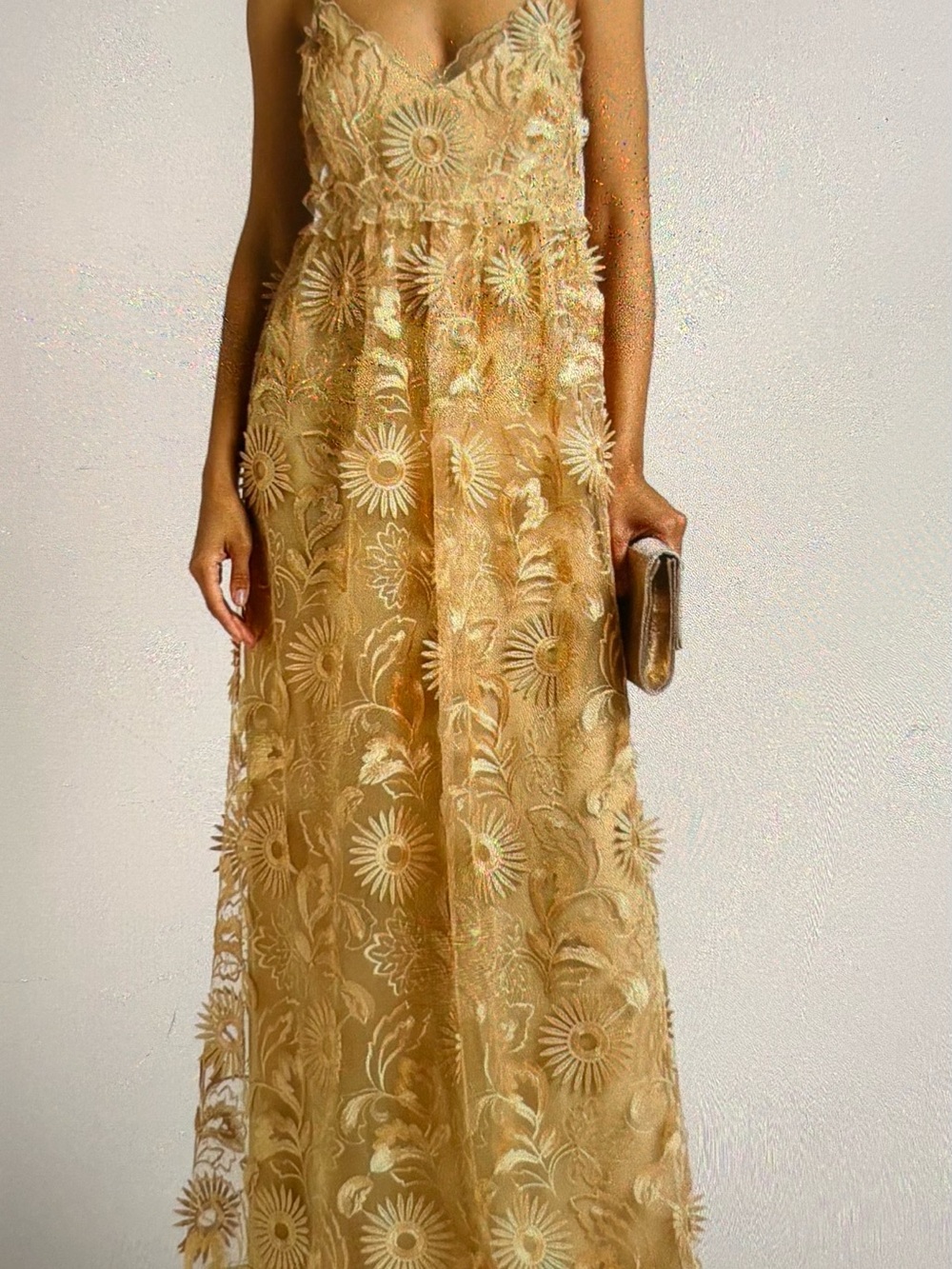 Alberta Ferretti Gold Lace Maxi Dress with Floral Applique